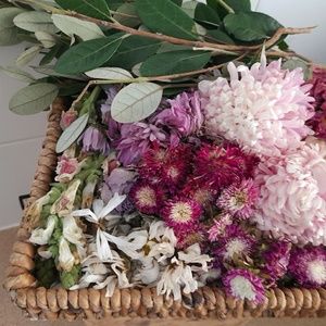 Meet your Posher, Catherine